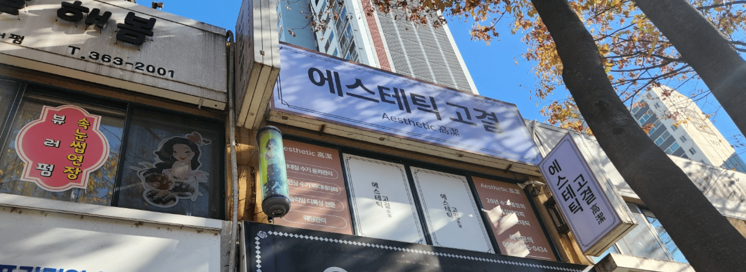 에스테틱 고결 섬네일