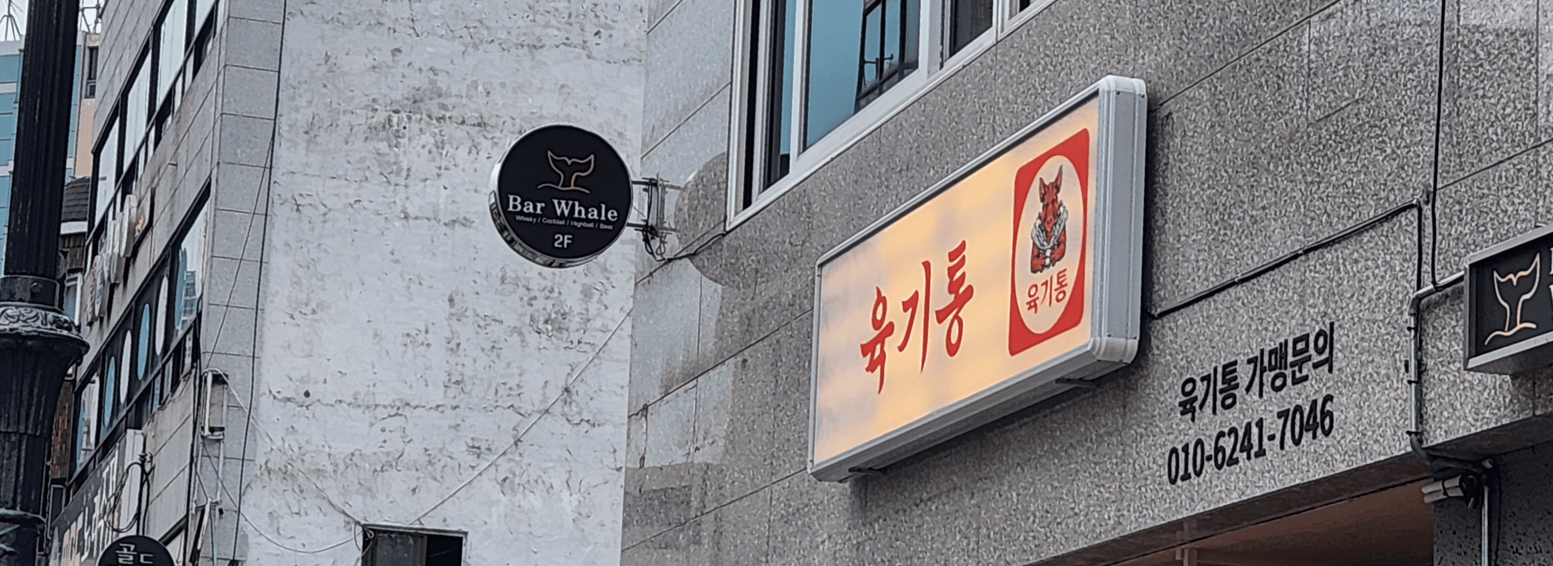 육기통 섬네일