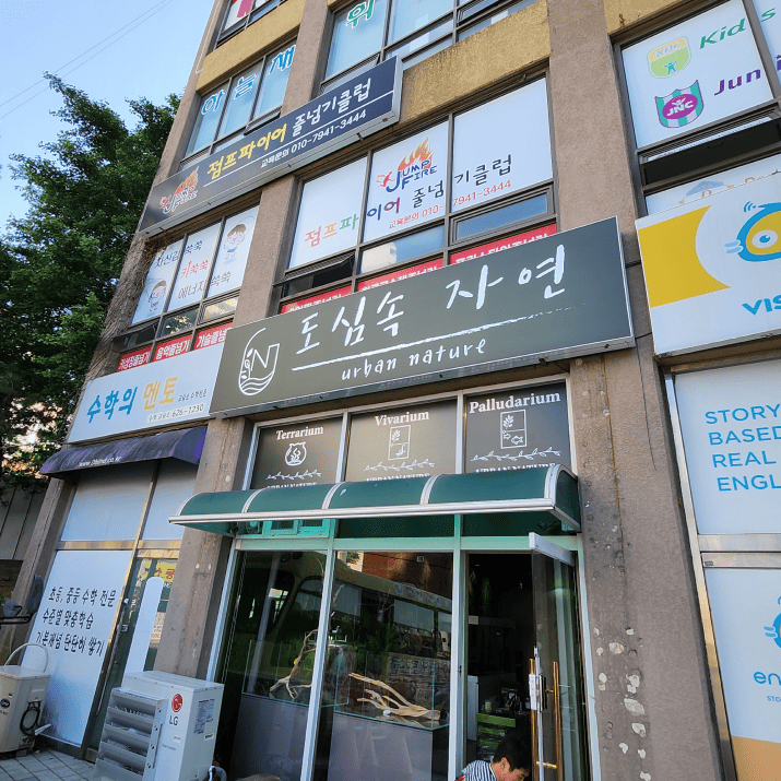도심속자연 사진